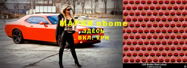 соль ск Тайга