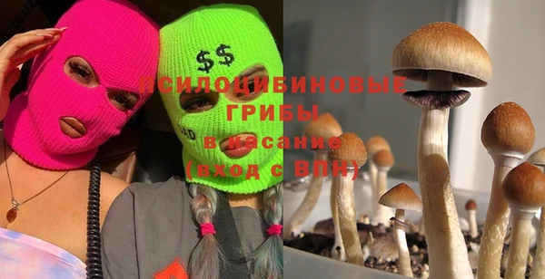 мдпв Баксан